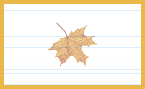 Fall Leaves design 5